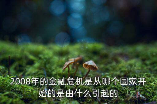 這一次的金融危機(jī)發(fā)端于什么，請(qǐng)問(wèn)這次金融風(fēng)暴的起始是什么樣的具體的原因