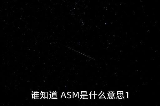 誰(shuí)知道 ASM是什么意思1