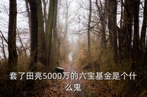 六寶并購基金投資什么項目，套了田亮5000萬的六寶基金是個什么鬼