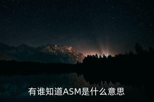 有誰(shuí)知道ASM是什么意思
