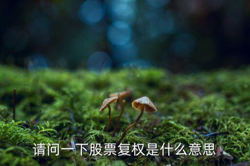 股票復(fù)權(quán)是什么意思，請(qǐng)問一下股票復(fù)權(quán)是什么意思