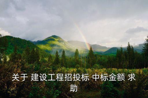 中標金額是什么，關(guān)于 建設工程招投標 中標金額 求助