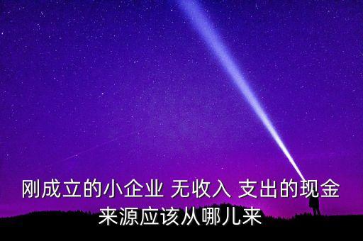 小企業(yè)主為什么沒現(xiàn)金，剛成立的小企業(yè) 無收入 支出的現(xiàn)金來源應(yīng)該從哪兒來