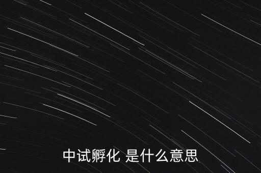 中試孵化是什么意思，中試孵化 是什么意思