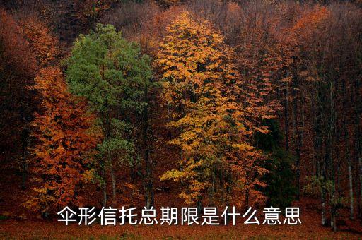 傘形信托的杠桿比例是什么意思，傘形信托總期限是什么意思