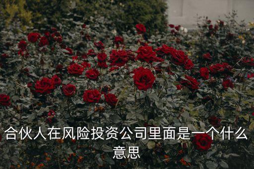 vc合伙人是什么，風(fēng)險投資公司中的合伙人和經(jīng)理人都是什么意思