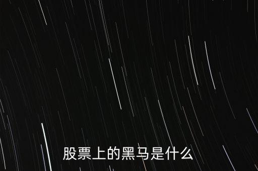 股票黑馬什么意思，股市上的黑馬是什么意思