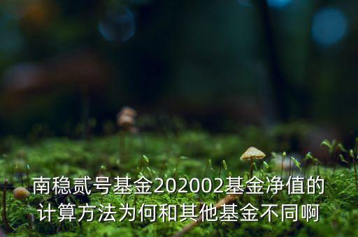 南穩(wěn)二號為什么要分紅，南穩(wěn)貳號基金202002基金凈值的計(jì)算方法為何和其他基金不同啊