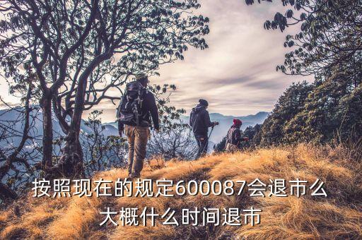 600087什么時(shí)候到3版，按照現(xiàn)在的規(guī)定600087會(huì)退市么大概什么時(shí)間退市