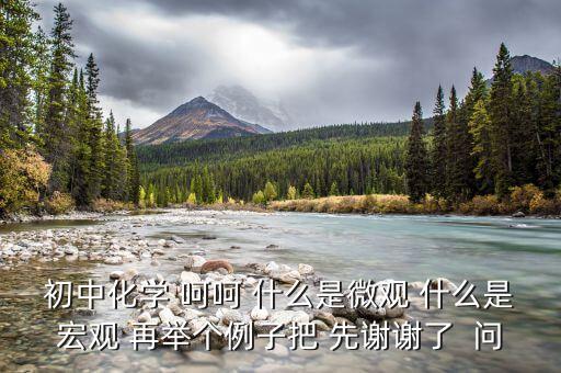 什么是宏觀事實，初中化學(xué) 呵呵 什么是微觀 什么是宏觀 再舉個例子把 先謝謝了  問