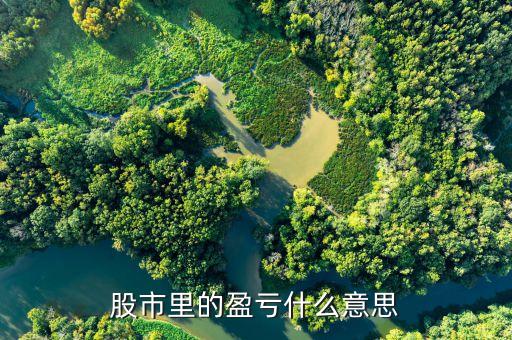 股票總盈虧是什么意思，總盈虧與當(dāng)前浮動盈虧有什么區(qū)別