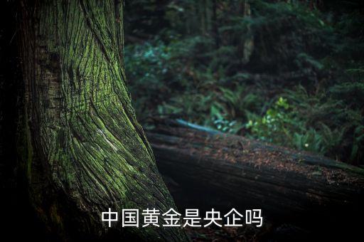 中國(guó)黃金為什么是央企品牌，中國(guó)黃金在各城市的店鋪是中國(guó)黃金直營(yíng)的還是加盟的如果是直營(yíng)