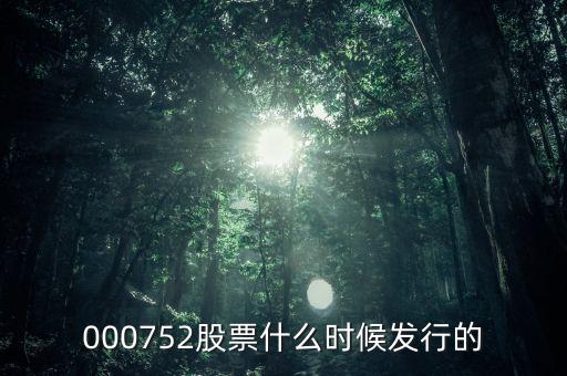九泰銳富什么時(shí)候發(fā)行，000752股票什么時(shí)候發(fā)行的