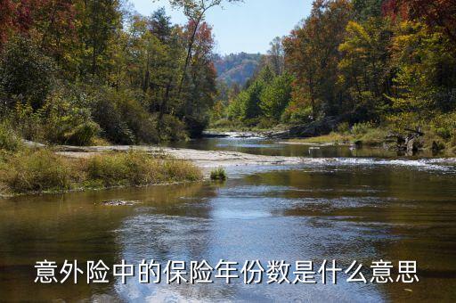 保險(xiǎn)數(shù)目指什么，意外險(xiǎn)中的保險(xiǎn)年份數(shù)是什么意思