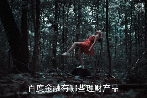 百度有什么理財(cái)產(chǎn)品，百度金融有哪些理財(cái)產(chǎn)品