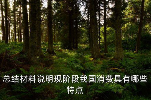 從材料的數(shù)據(jù)中反映了當(dāng)前消費(fèi)的什么特點(diǎn)，總結(jié)材料說明現(xiàn)階段我國消費(fèi)具有哪些特點(diǎn)