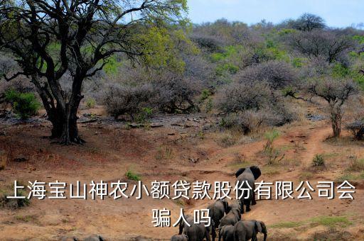 上海神農(nóng)小額貸款公司經(jīng)理叫什么，上海寶山神農(nóng)小額貸款股份有限公司會騙人嗎