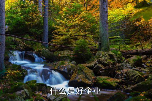 什么是好的公司，昆明有哪些好公司和企業(yè)嗎