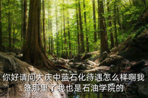 中藍石化總公司是什么公司，中藍集團是那一年成立的