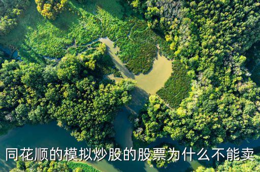 財達同花順股票為什么不能買賣，同花順的模擬炒股的股票為什么不能賣