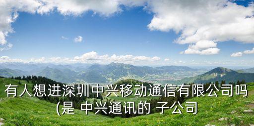 有人想進深圳中興移動通信有限公司嗎(是 中興通訊的 子公司