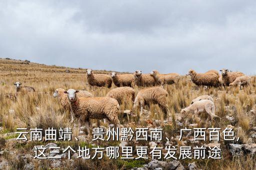 云南曲靖、 貴州黔西南、廣西百色,這三個地方哪里更有發(fā)展前途