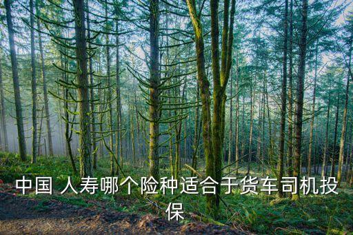 中國 人壽哪個險種適合于貨車司機(jī)投保