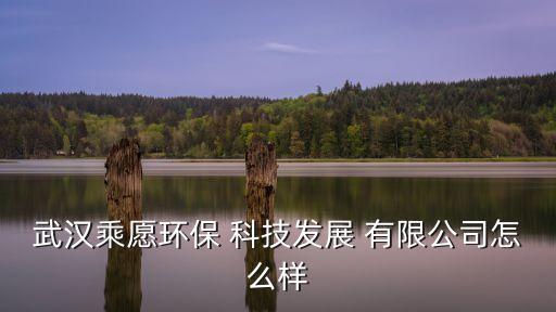 大連樂(lè)普四方科技發(fā)展有限公司,樂(lè)普四方智能化節(jié)能設(shè)備有限公司怎么樣