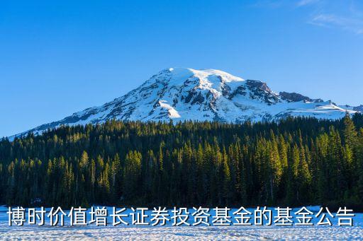 博時價值增長證券投資基金的基金公告