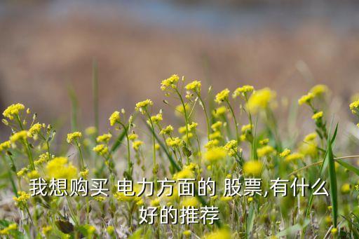 我想購(gòu)買 電力方面的 股票,有什么好的推薦