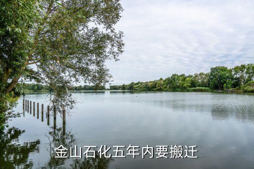 上?；瘜W(xué)工業(yè)區(qū)總體規(guī)劃,洪江市工業(yè)區(qū)總體規(guī)劃