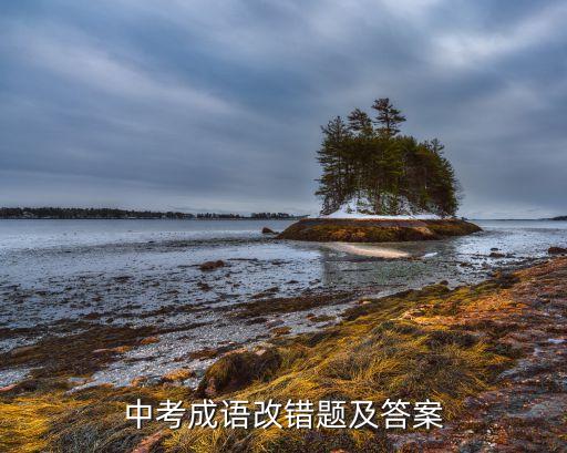 中考成語(yǔ)改錯(cuò)題及答案