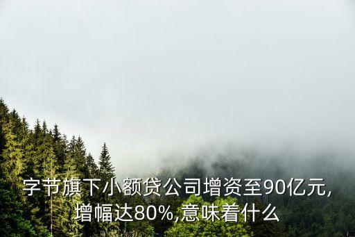 中國(guó)電商小貸累計(jì)貸款規(guī)模