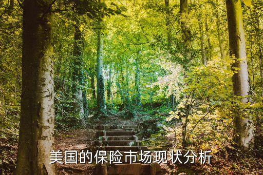 國外保險(xiǎn)公司成本,保險(xiǎn)公司的成本是什么