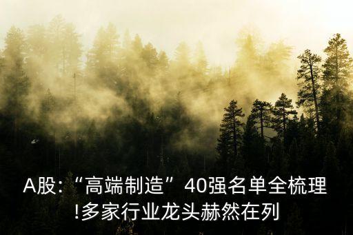 A股:“高端制造”40強名單全梳理!多家行業(yè)龍頭赫然在列