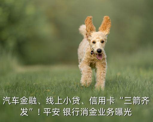 汽車金融、線上小貸、信用卡“三箭齊發(fā)”! 平安 銀行消金業(yè)務(wù)曝光