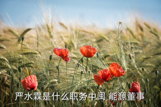嚴水霖是什么職務中閩 能源董事
