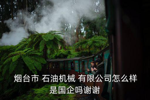  煙臺市 石油機(jī)械 有限公司怎么樣是國企嗎謝謝