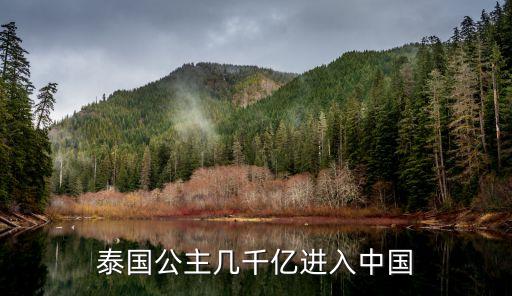 正大集團謝國民三個孩子,泰國正大集團謝國民夫人簡歷
