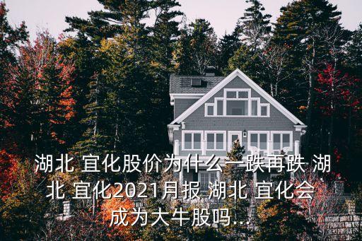  湖北 宜化股價為什么一跌再跌 湖北 宜化2021月報 湖北 宜化會成為大牛股嗎...