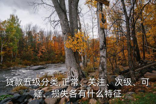 貸款五級(jí)分類,正常、關(guān)注、次級(jí)、可疑、損失各有什么特征