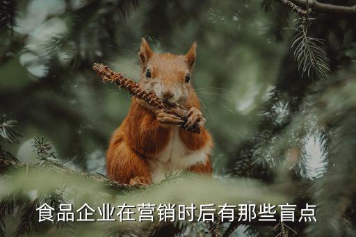 食品企業(yè)在營銷時后有那些盲點(diǎn)