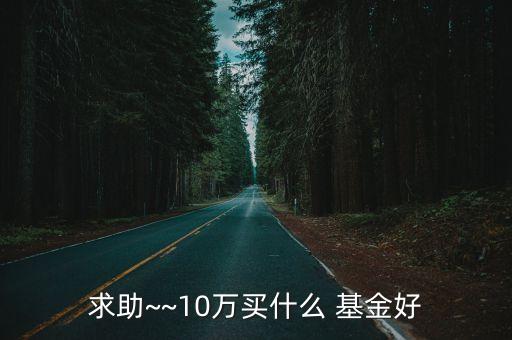 求助~~10萬(wàn)買(mǎi)什么 基金好