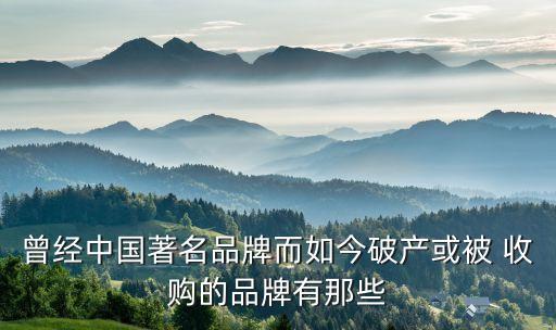 曾經中國著名品牌而如今破產或被 收購的品牌有那些