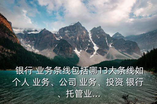  銀行 業(yè)務(wù)條線(xiàn)包括哪13大條線(xiàn)如個(gè)人 業(yè)務(wù)、公司 業(yè)務(wù)、投資 銀行、托管業(yè)...