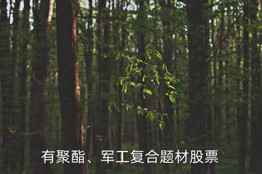 有聚酯、軍工復合題材股票