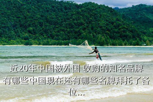 近20年中國被外國 收購的知名品牌有哪些中國現在還有哪些名牌拜托了各位...