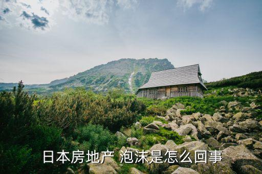日本泡沫和中國,關(guān)于日本經(jīng)濟(jì)泡沫的書