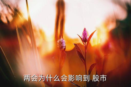 中國政府與股市,政府為什么要對(duì)股市進(jìn)行監(jiān)管