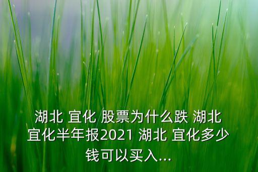  湖北 宜化 股票為什么跌 湖北 宜化半年報2021 湖北 宜化多少錢可以買入...